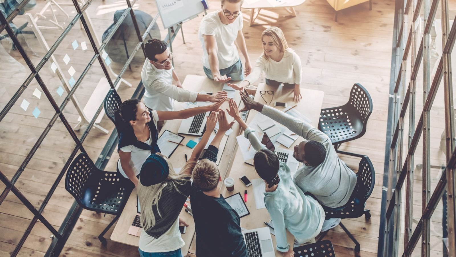 Apoyo experto en normativa y calidad para nuevas empresas de tecnología médica (2)