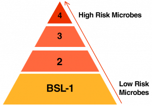 biosafety-risk-triangle-crisp-300x210-1-1