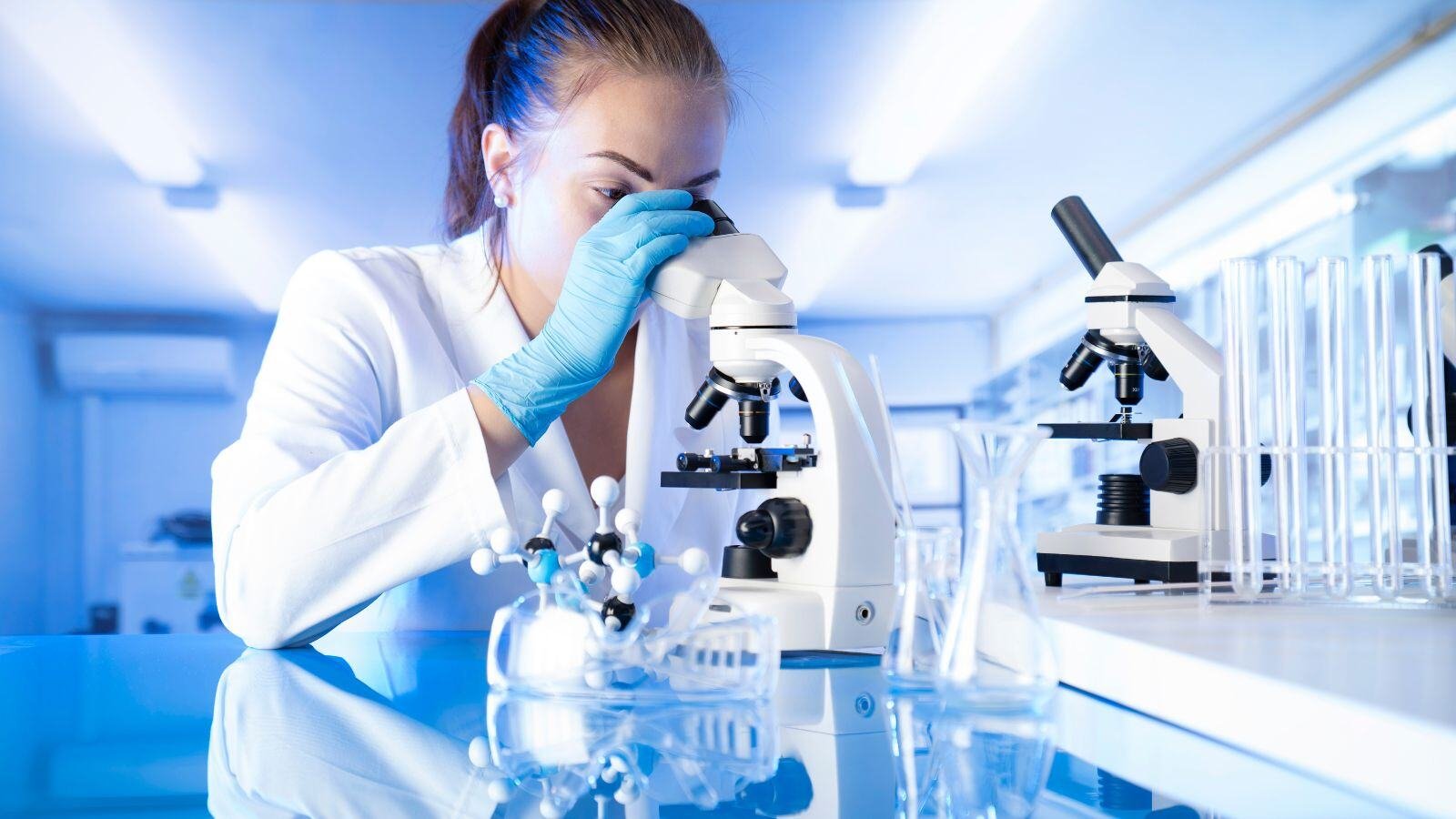 Evaluación de riesgos de las nitrosaminas - Toxicología - Grupo QbD (1)