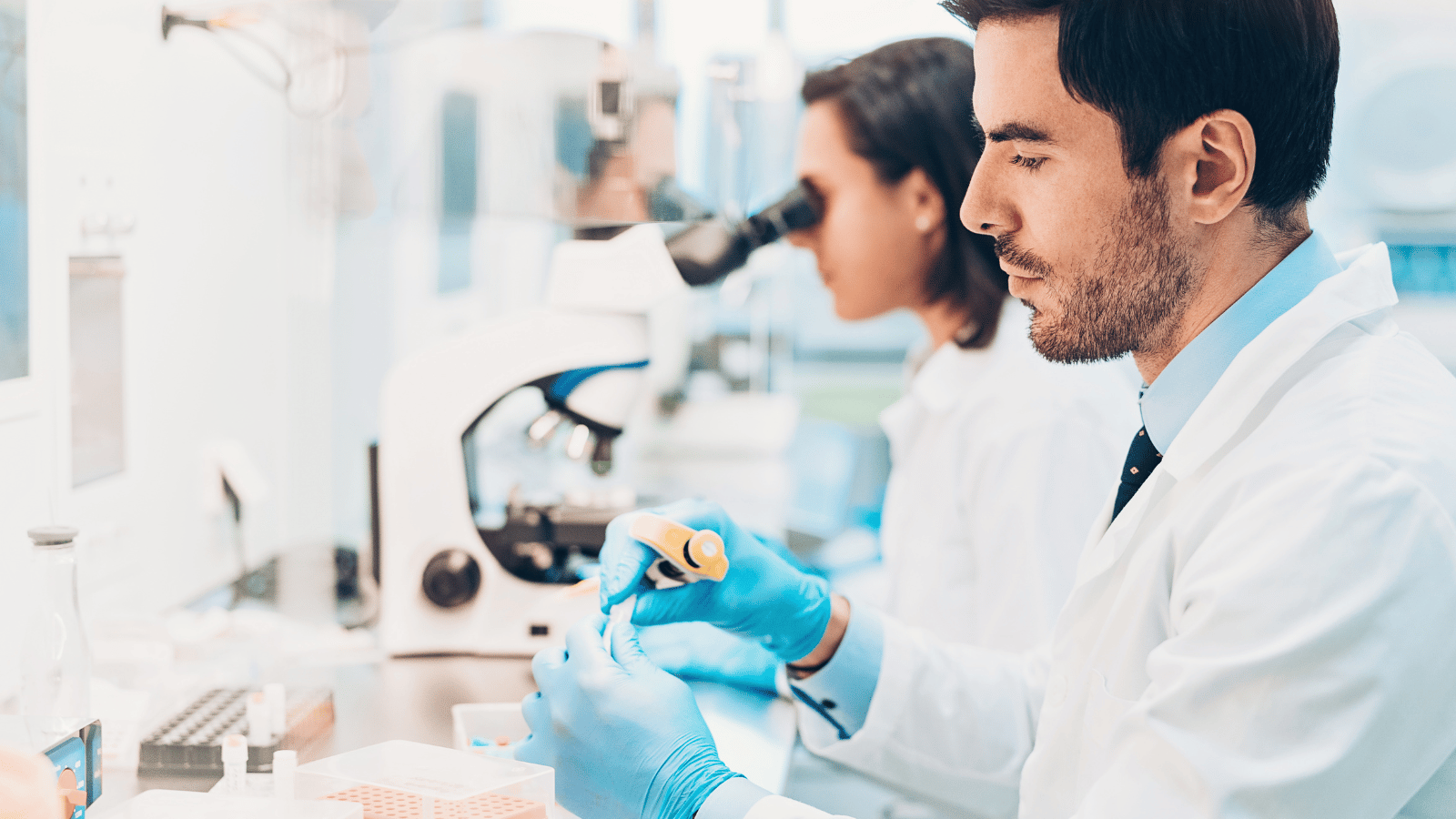 Sin-titulo-1600-x-900-px-2