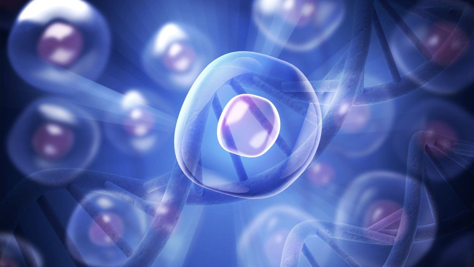 Webinar - ATMP Supply Chain Navigating the Challenges and Exploring the Vein-to-Vein Strategy - QbD Group (2)