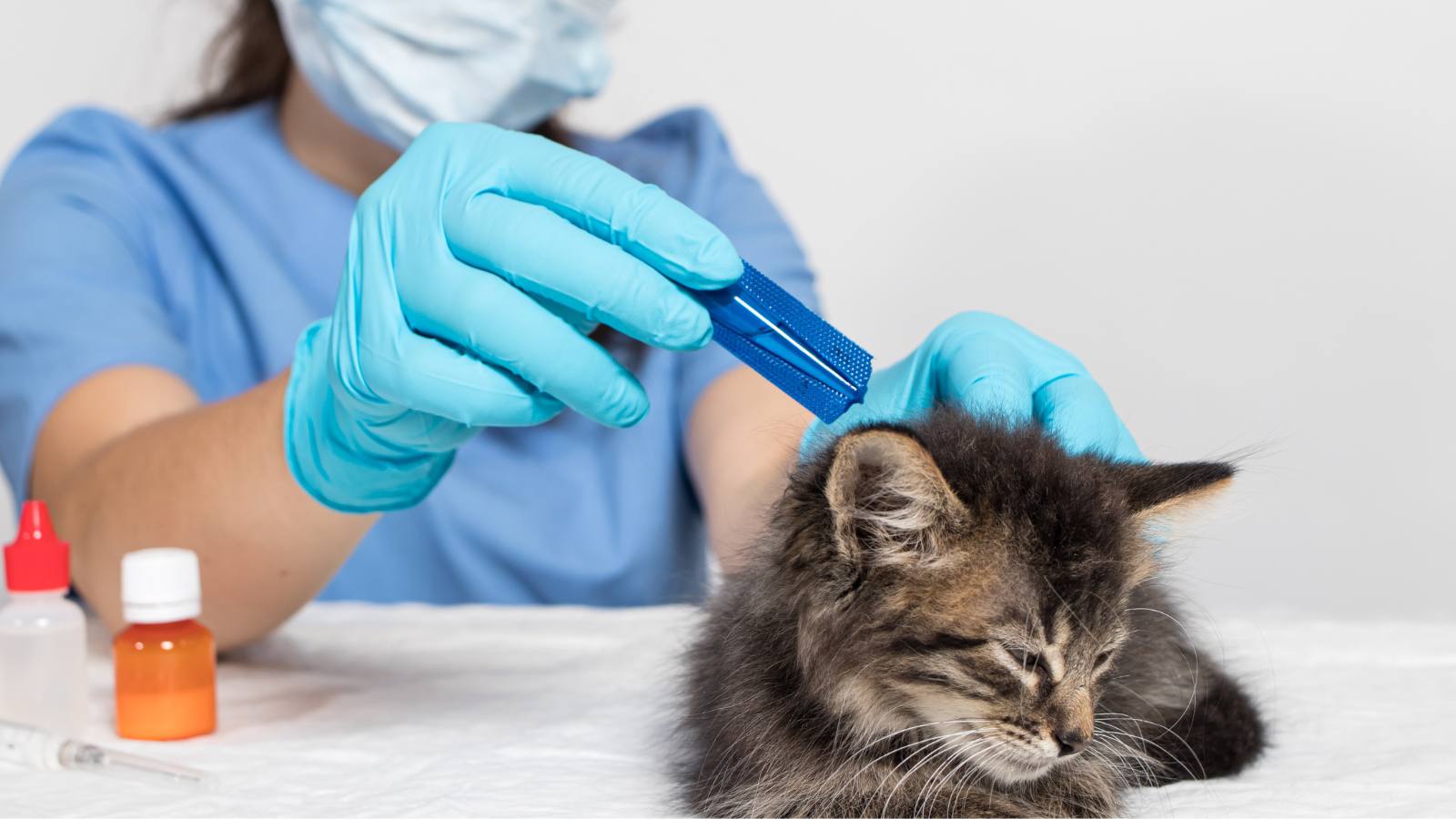 RA-Update-Elemental-Impurities-Veterinary-medicinal-prodcuts