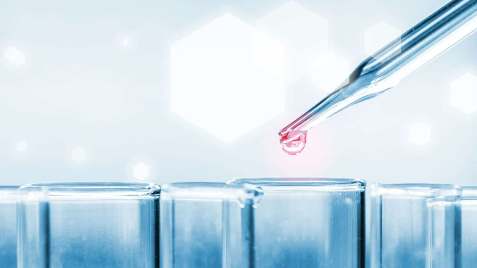 Diseno-sin-titulo-1-3-1536x864