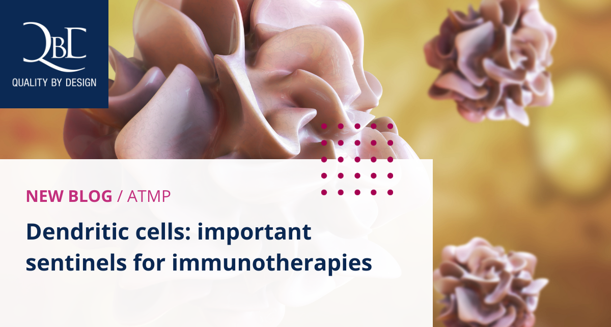Dendritic cells: effective sentinels for immunotherapies | QbD Group