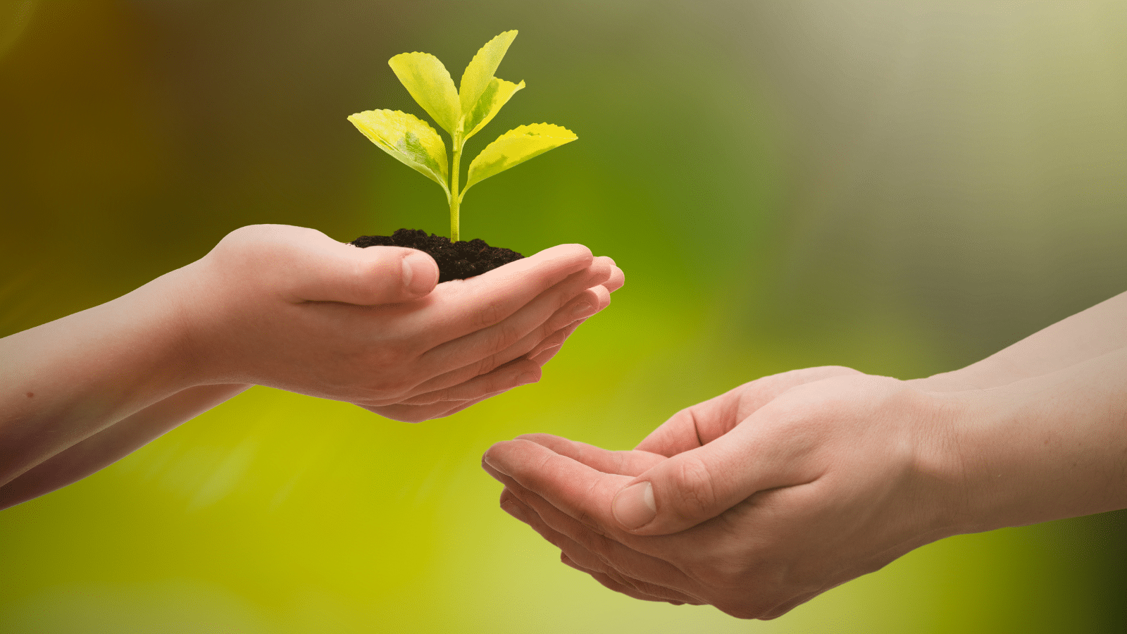 Evaluaciones de riesgos medioambientales (ERA) en la industria farmacéutica: equilibrio entre salud y medio ambiente - QbD Group