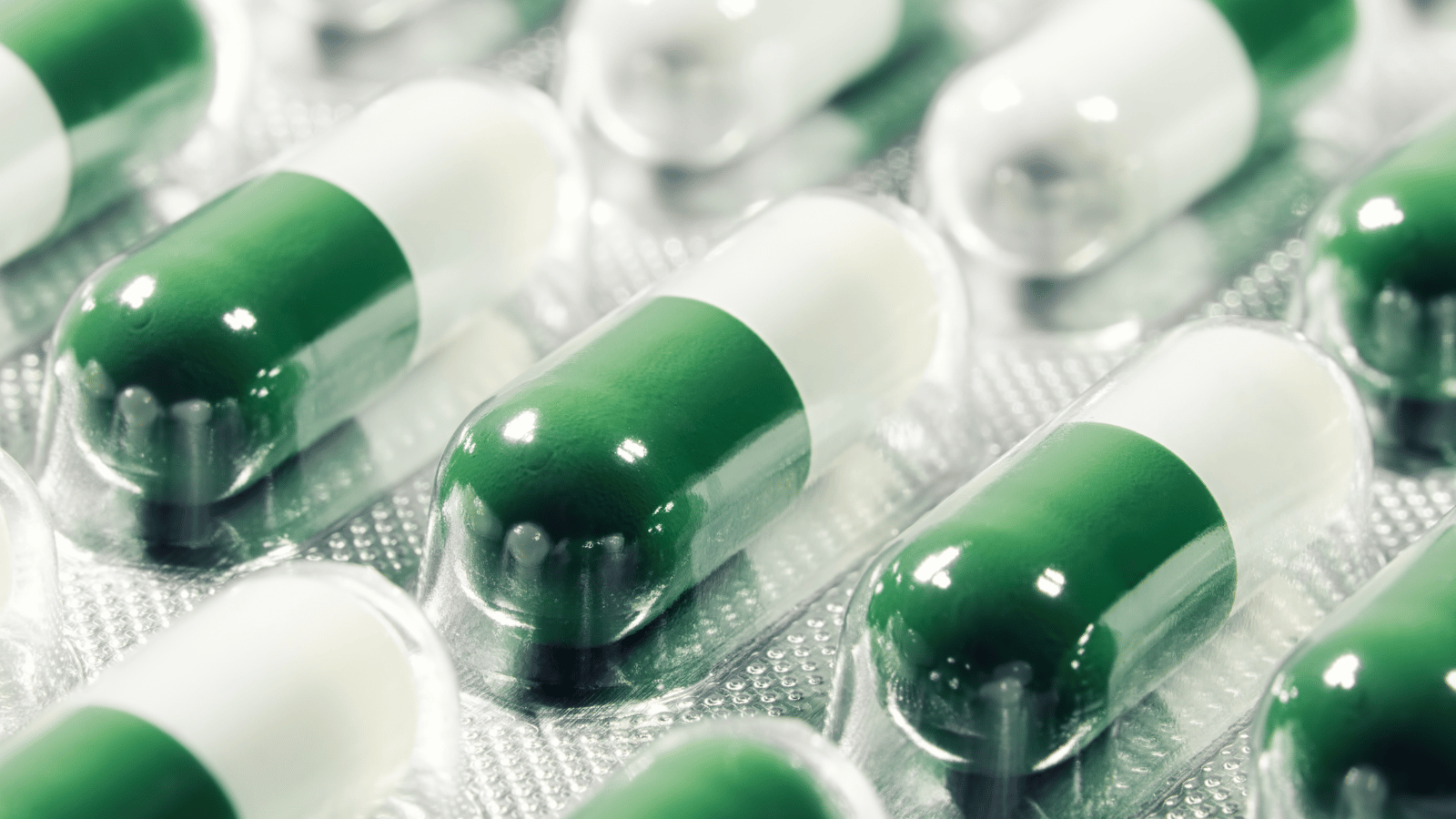 Diseño de cámaras climáticas o de estabilidad conforme a las GMP: la clave para garantizar la integridad del producto - QbD Group