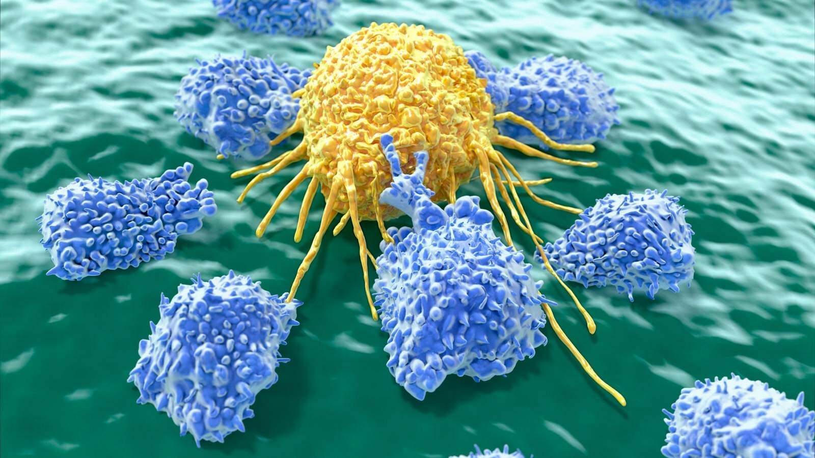 Blog - Natural Killer (NK) cells: a major breakthrough in the field of ATMPs - QbD Group